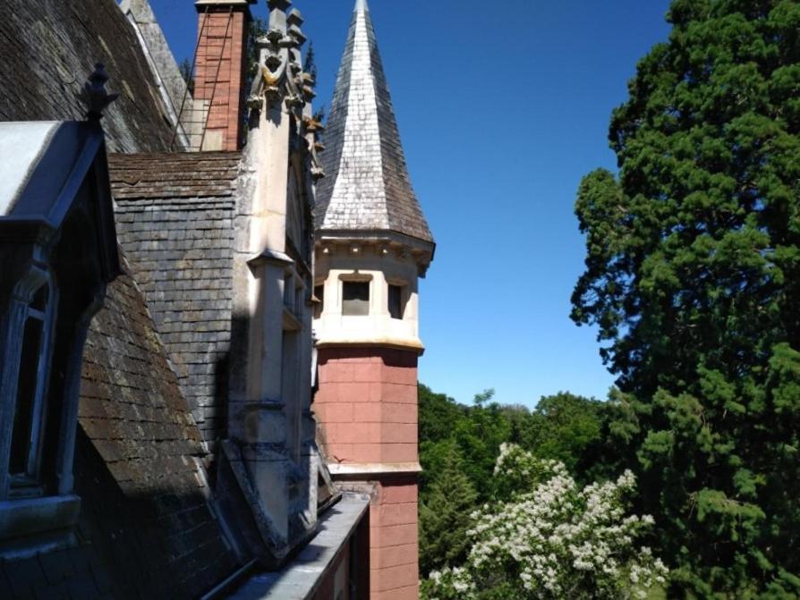 Chateau De La Vernede, La Grande Vernede Saint-Rémy-de-Chargnat Kültér fotó